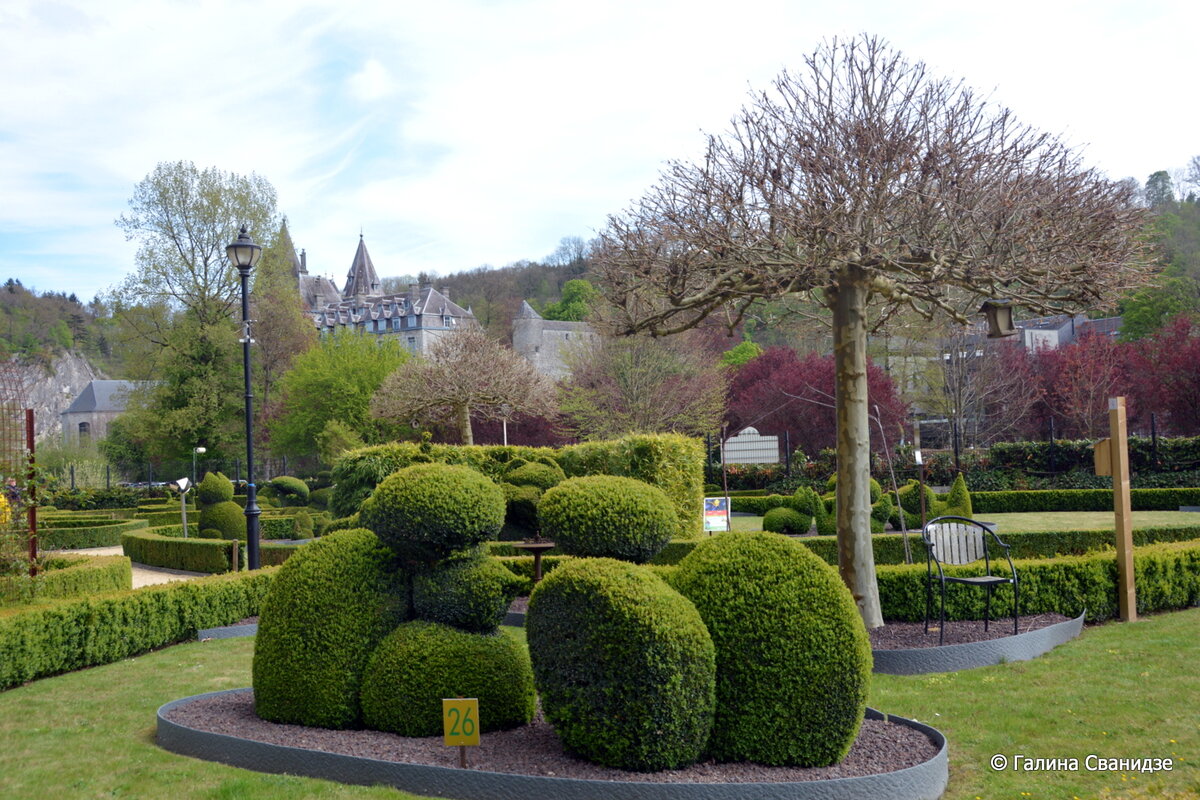 DSC_7739-001.JPG