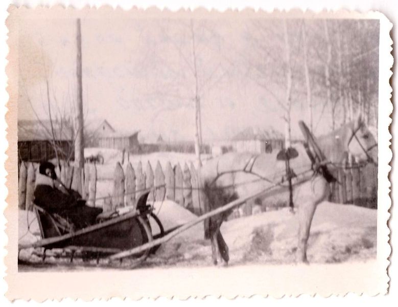 КП__26916.jpg