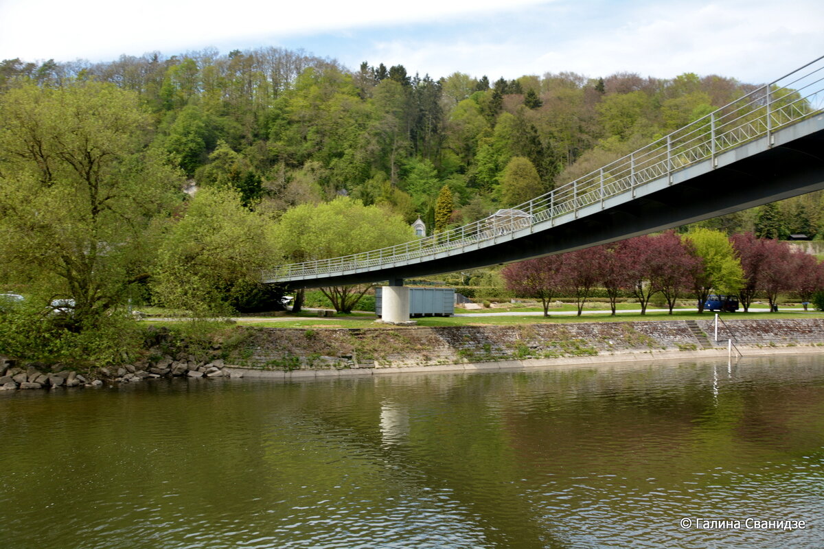 DSC_7974-001.JPG
