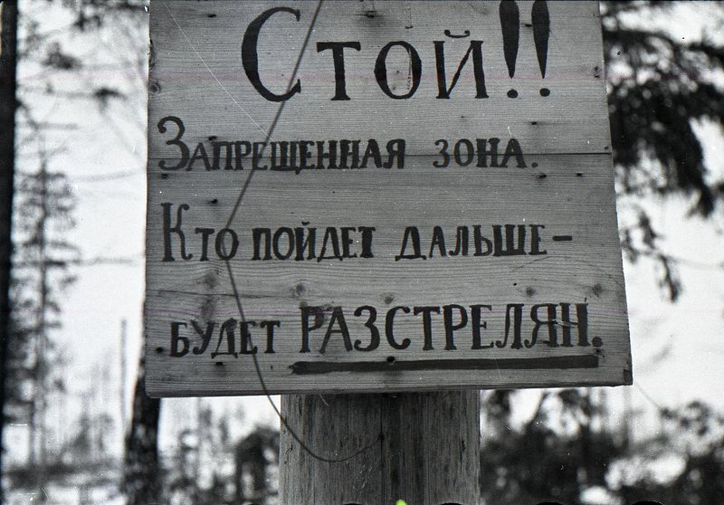 4646355.jpg