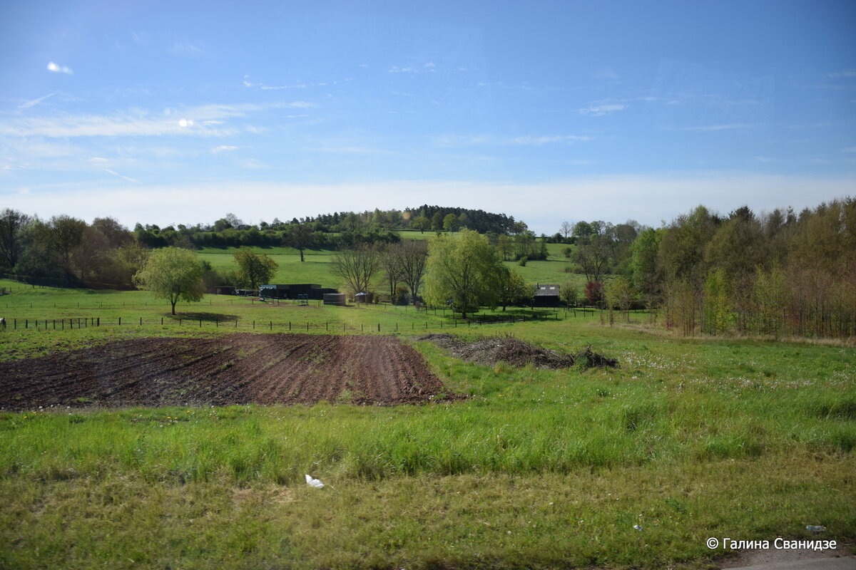 DSC_0447.JPG