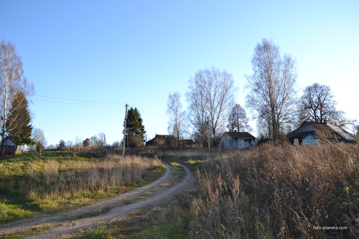 ermolinka-556650.jpg