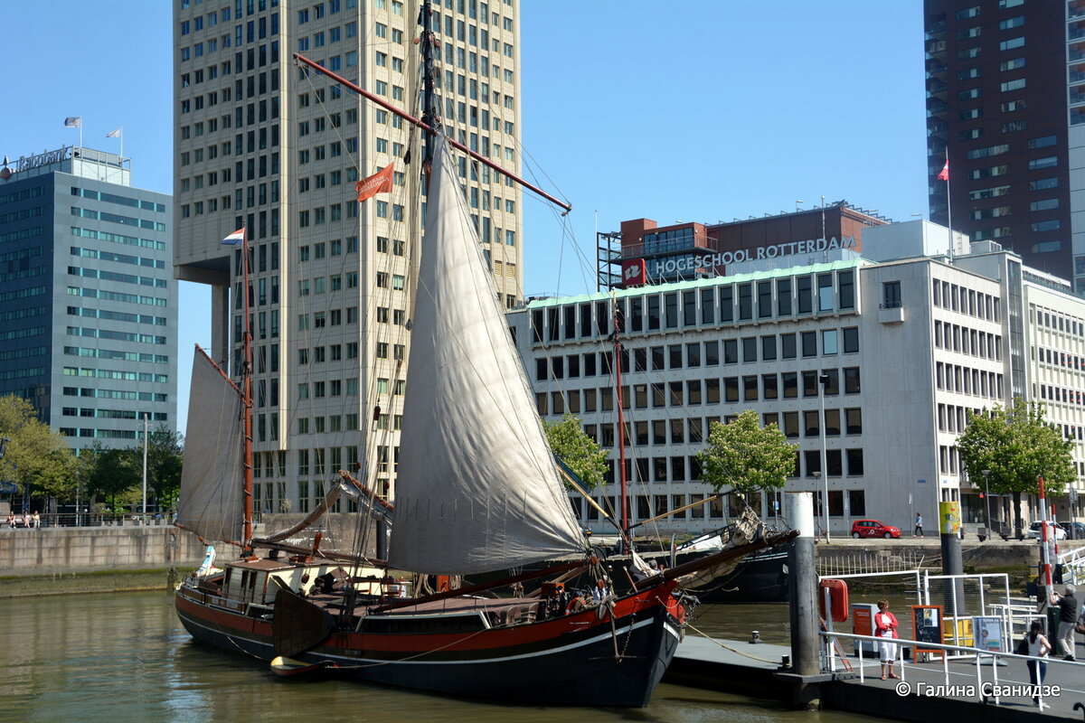 DSC_0253.JPG