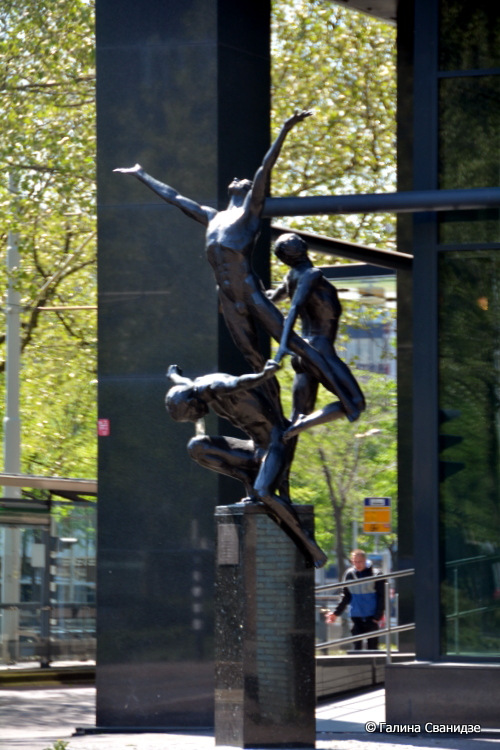 DSC_0408.JPG