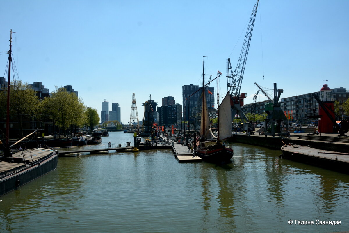 DSC_0409-001.JPG