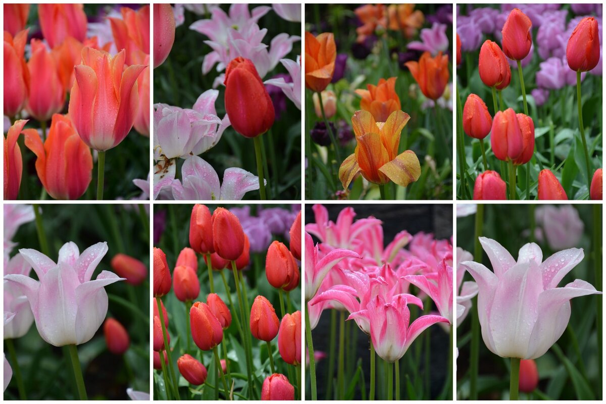 412D7100.jpg