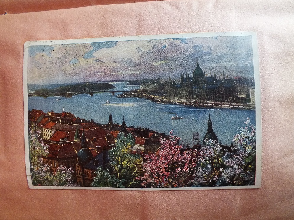 DSCF2354.JPG