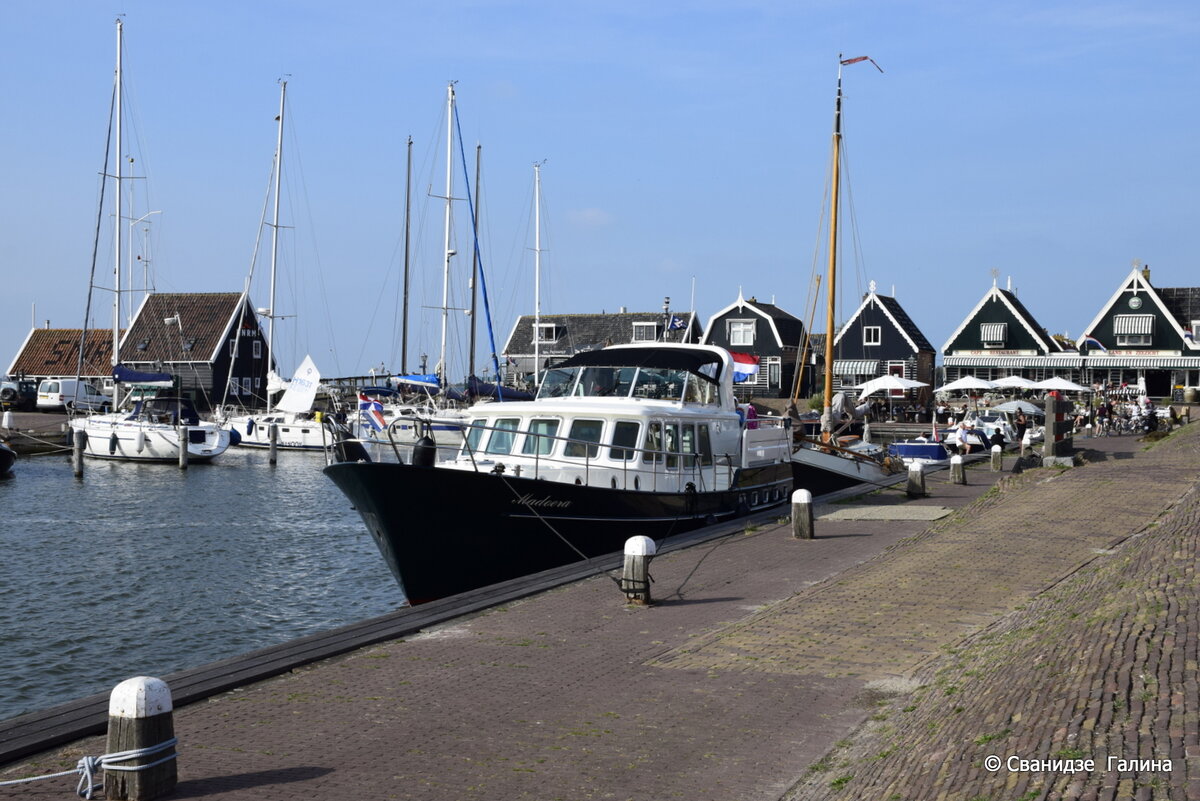 _DSC0481.JPG