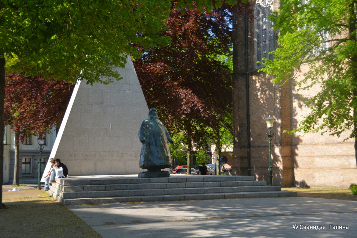 DSC_0799.JPG