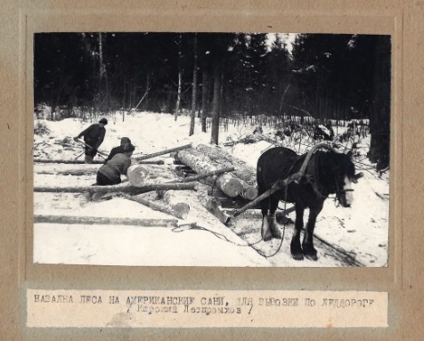 Валка леса Киря, ЧАССР.jpg