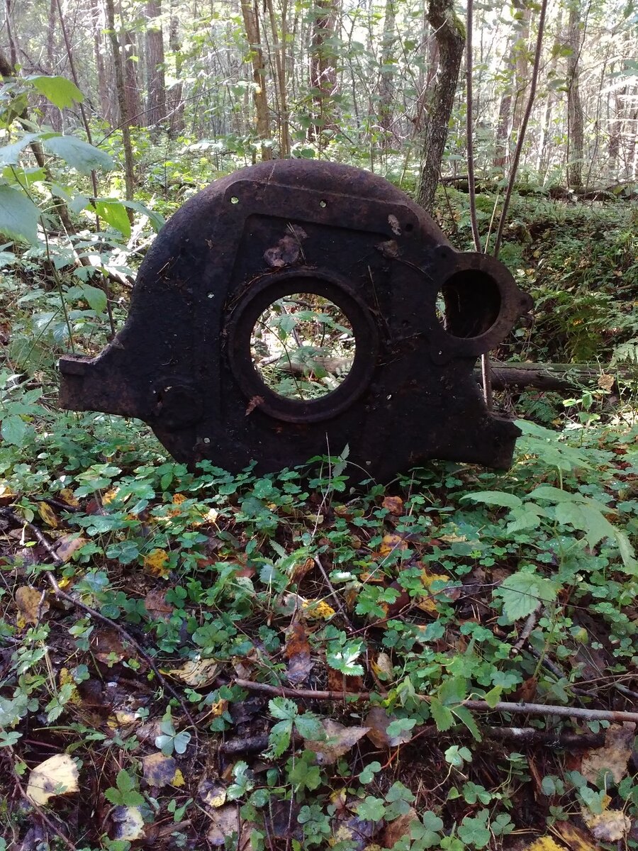 22.jpg