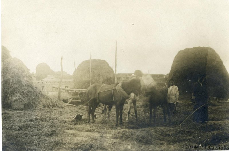 1905 г.jpg