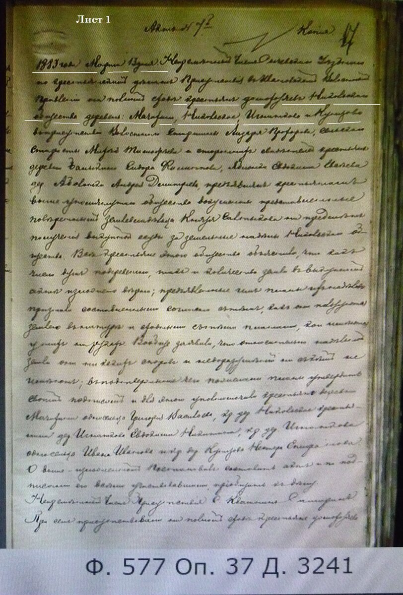 P1220251.jpg
