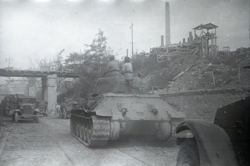 4671046.jpg