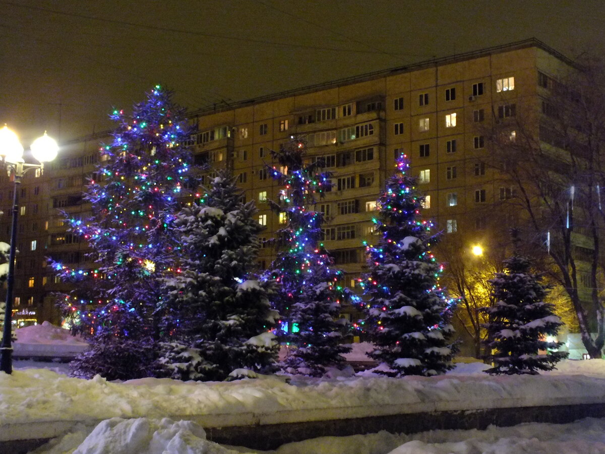 DSCF5374.JPG