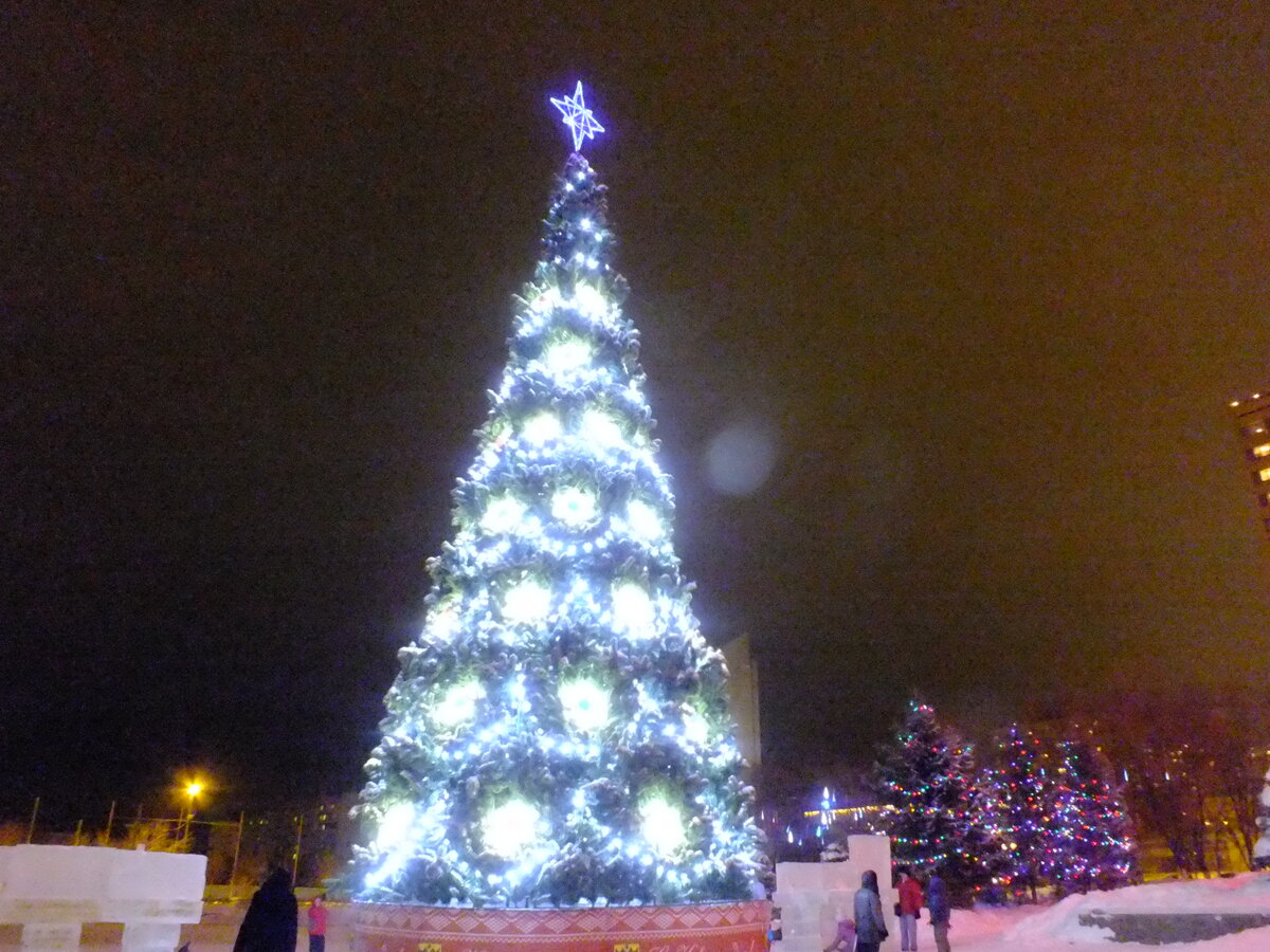 DSCF5378.JPG