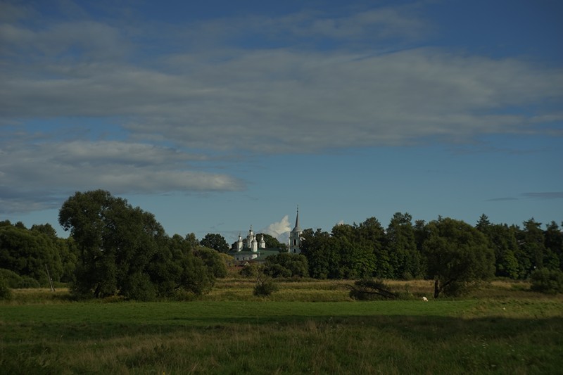 DSC01582.jpg