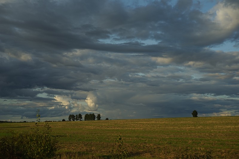 DSC01690.jpg