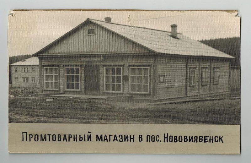 3583445.jpg