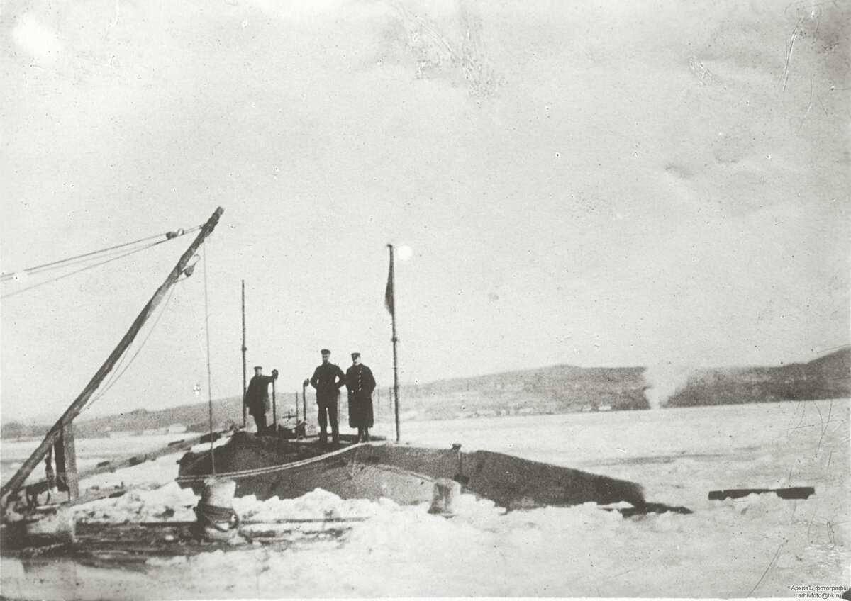 Сом2.jpg