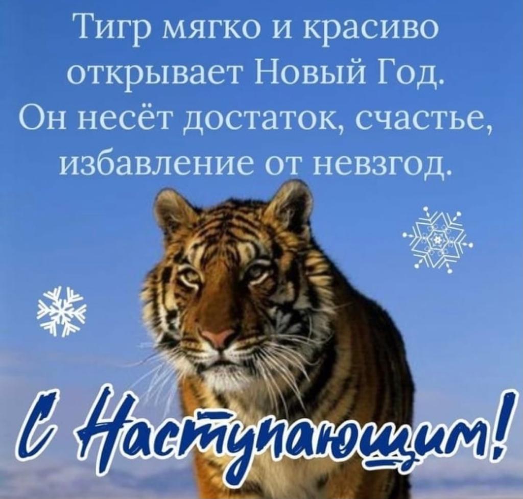 IMG-20211231-WA0001.jpg