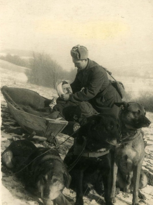 Безымянный.jpg