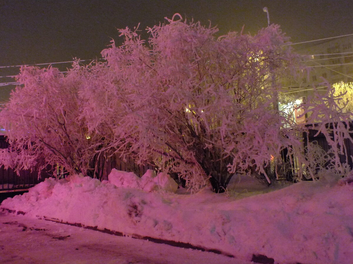 DSCF5415.JPG