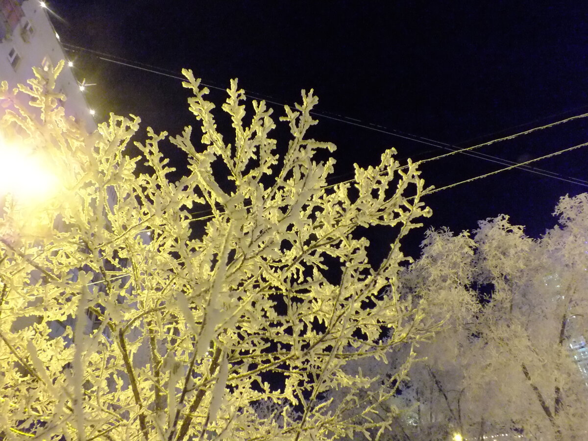 DSCF5443.JPG