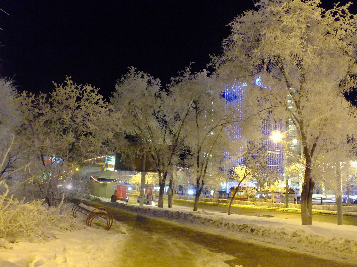 DSCF5445.JPG
