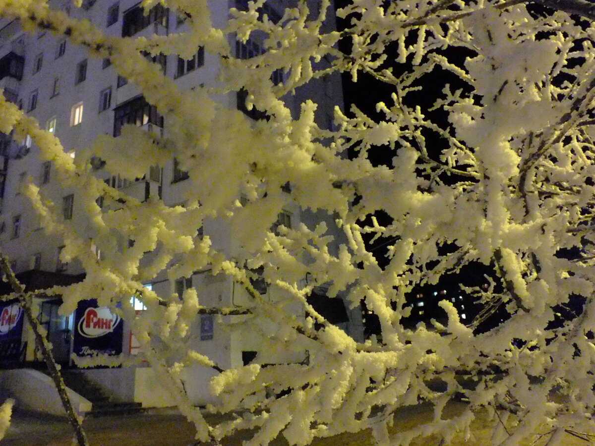 DSCF5451.JPG