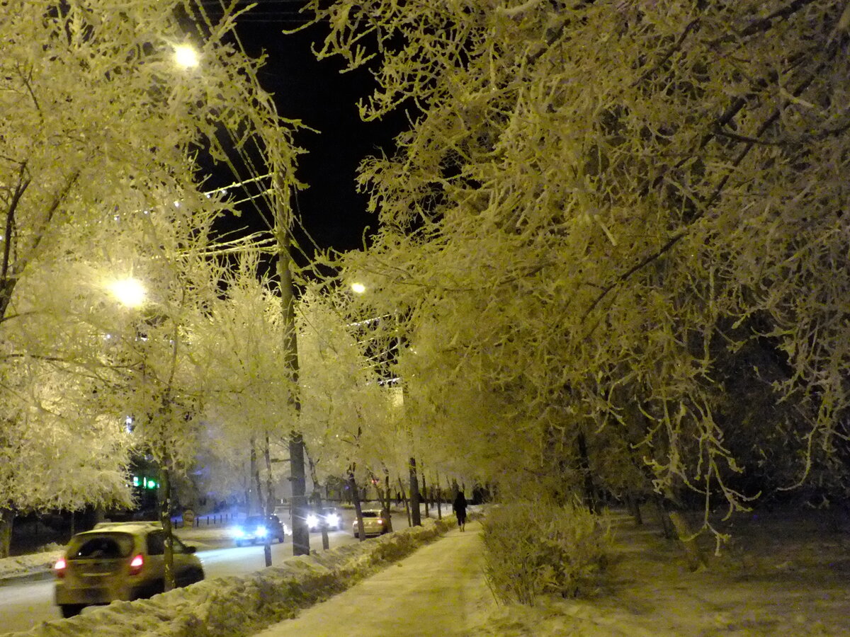 DSCF5458.JPG