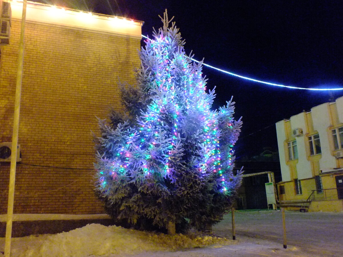 DSCF5462.JPG