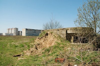 444.jpg