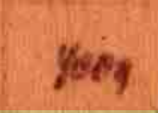upload_2022-3-9_19-43-45.png