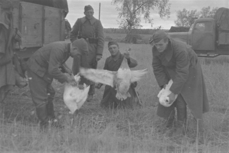 Немецкие фотографии русской деревни