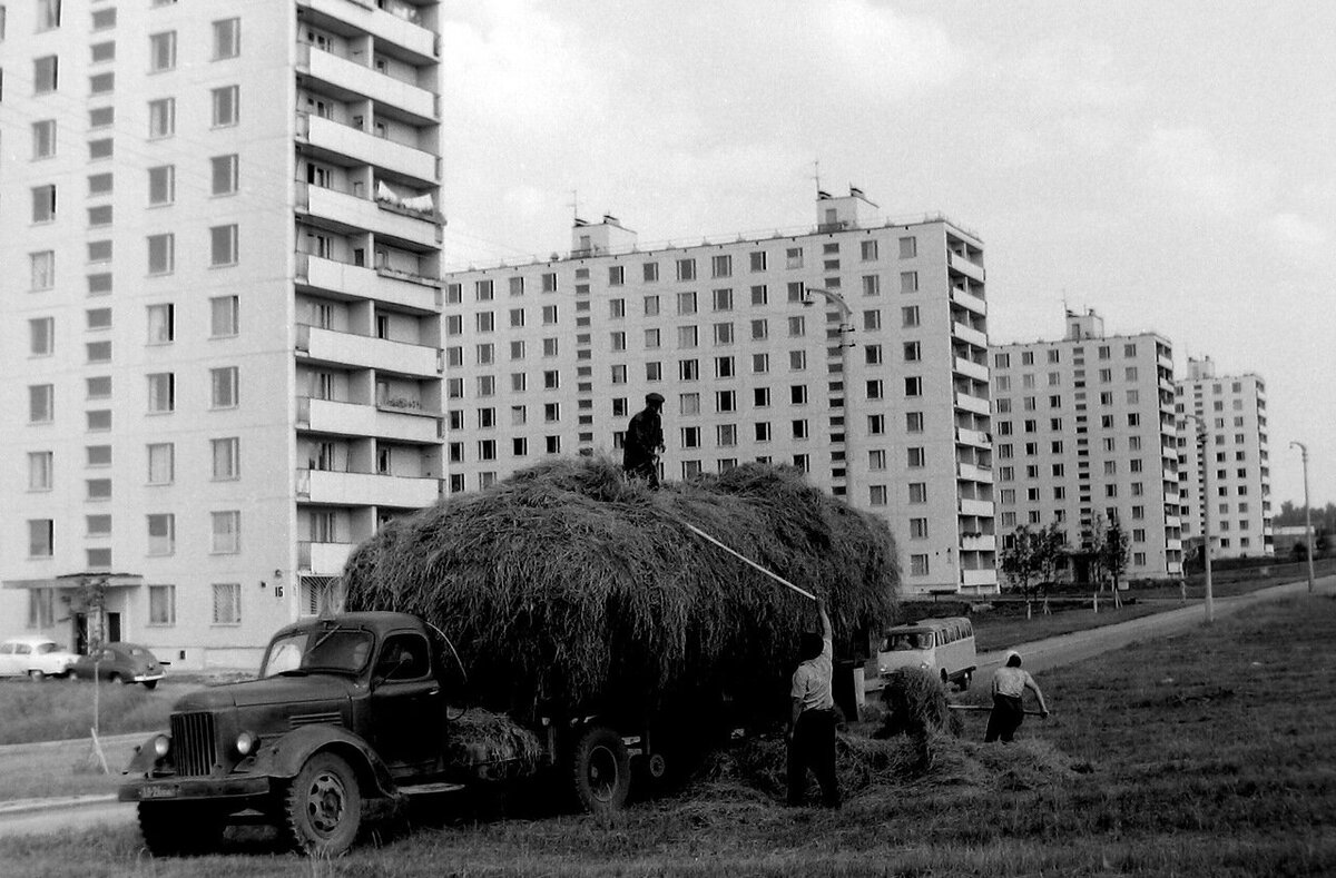 1967 г..jpg
