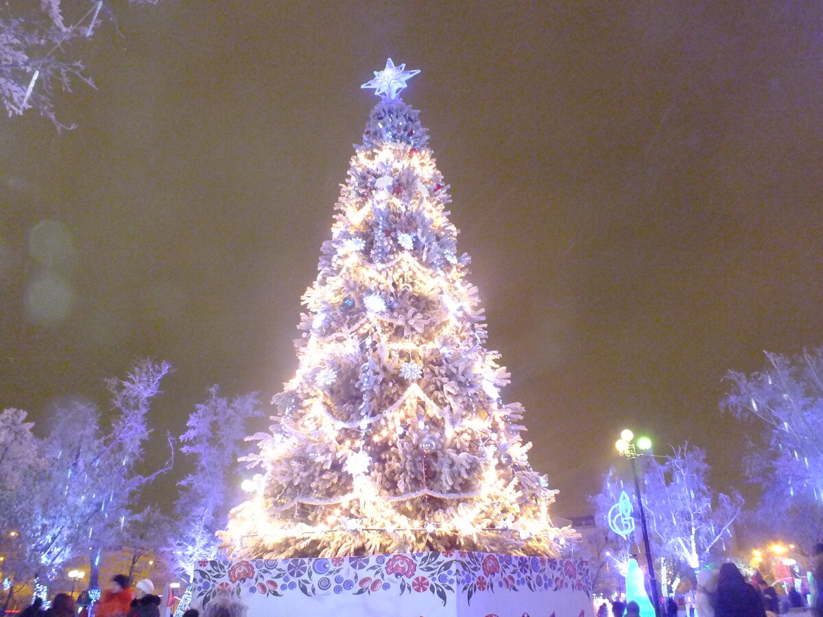 DSCF5480.JPG