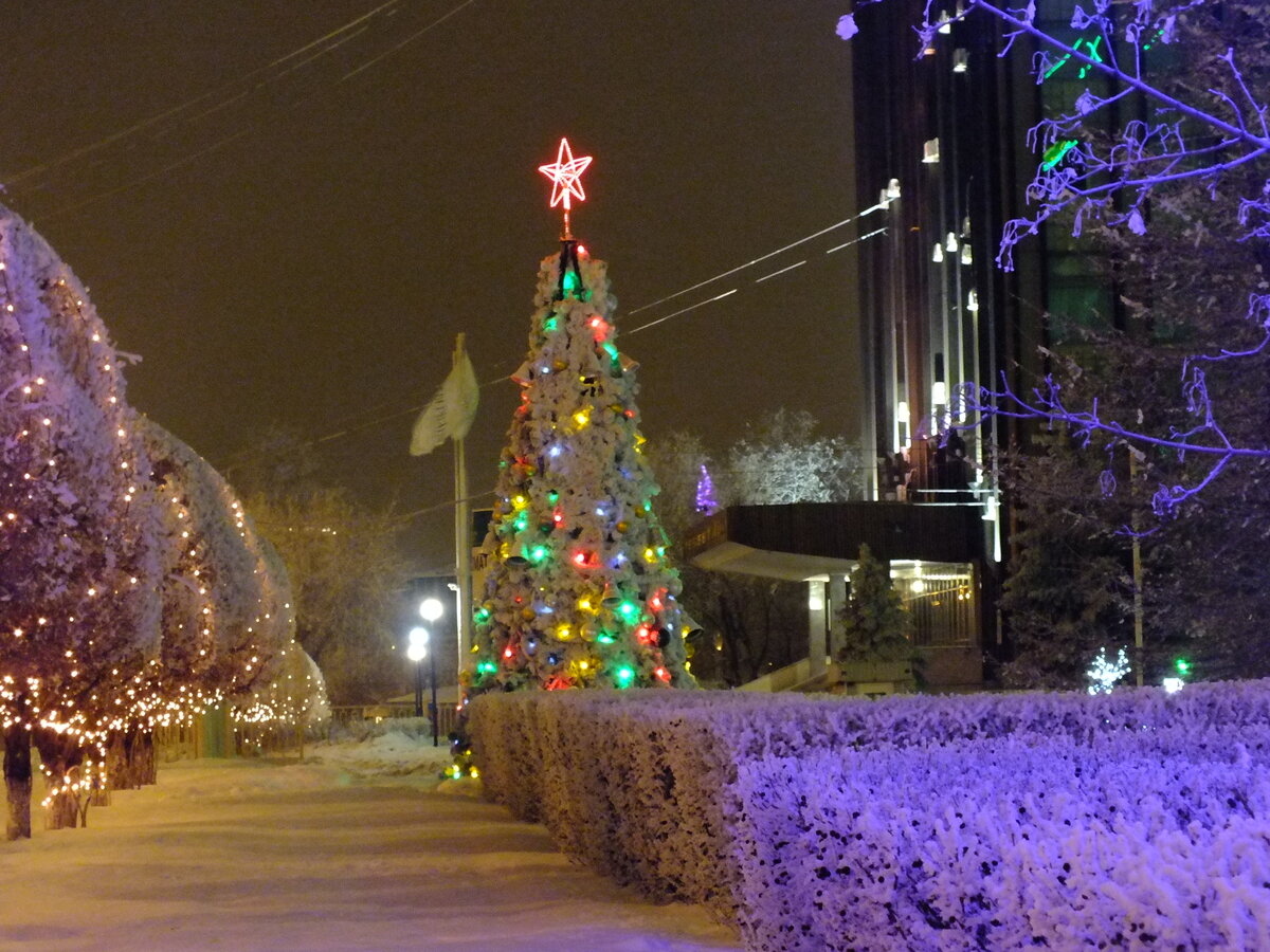 DSCF5508.JPG