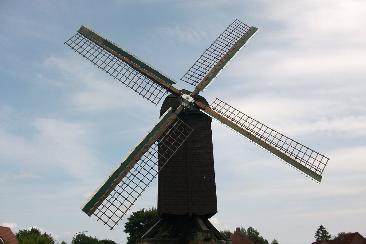 DSCF2835.JPG