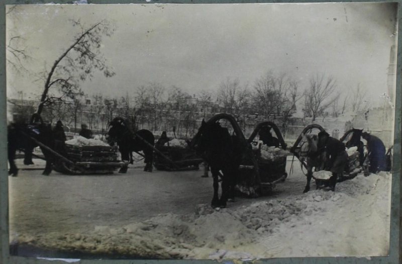 3919796.jpg