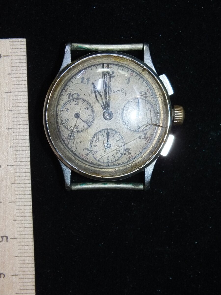 DSCF5913.JPG