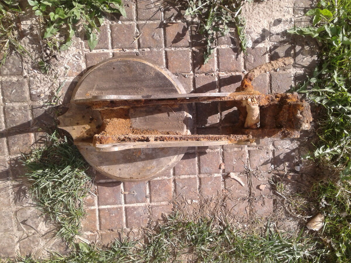 20220509_164045.jpg