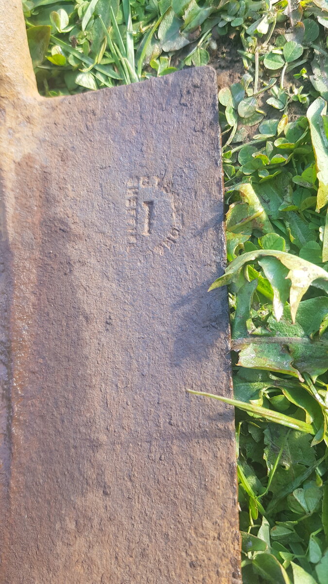 20220509_165015.jpg