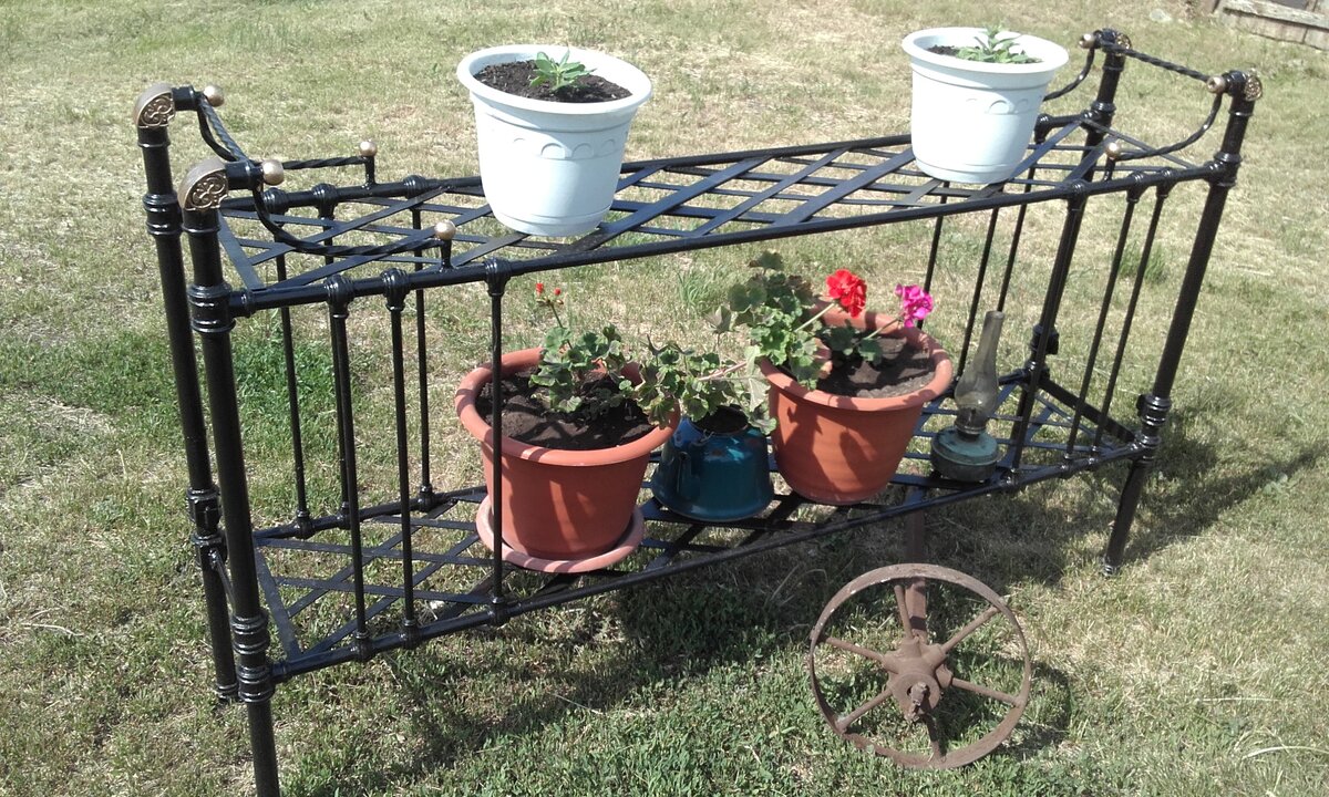 20190606_155624.jpg