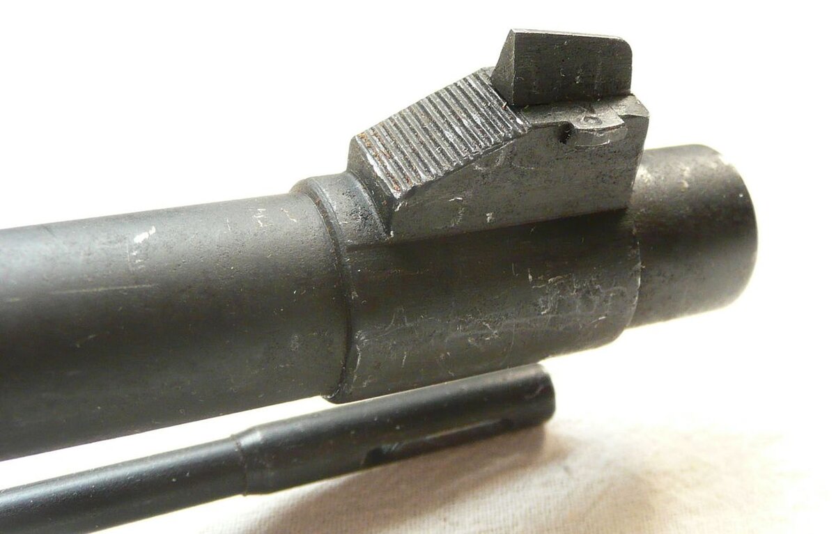 4423426.jpg