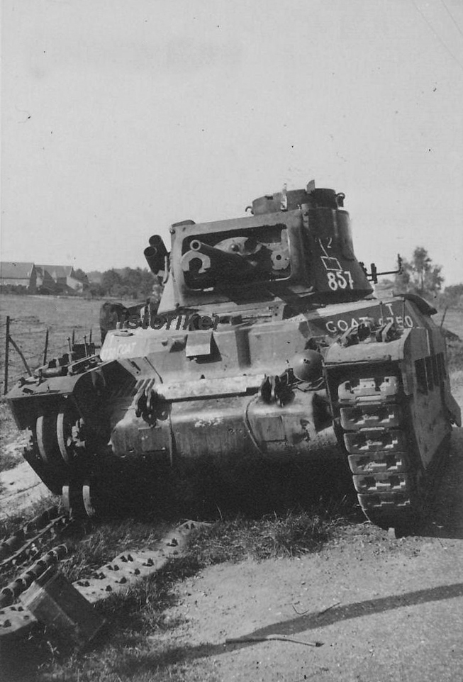 Matilda II_name..COAT_L.jpg