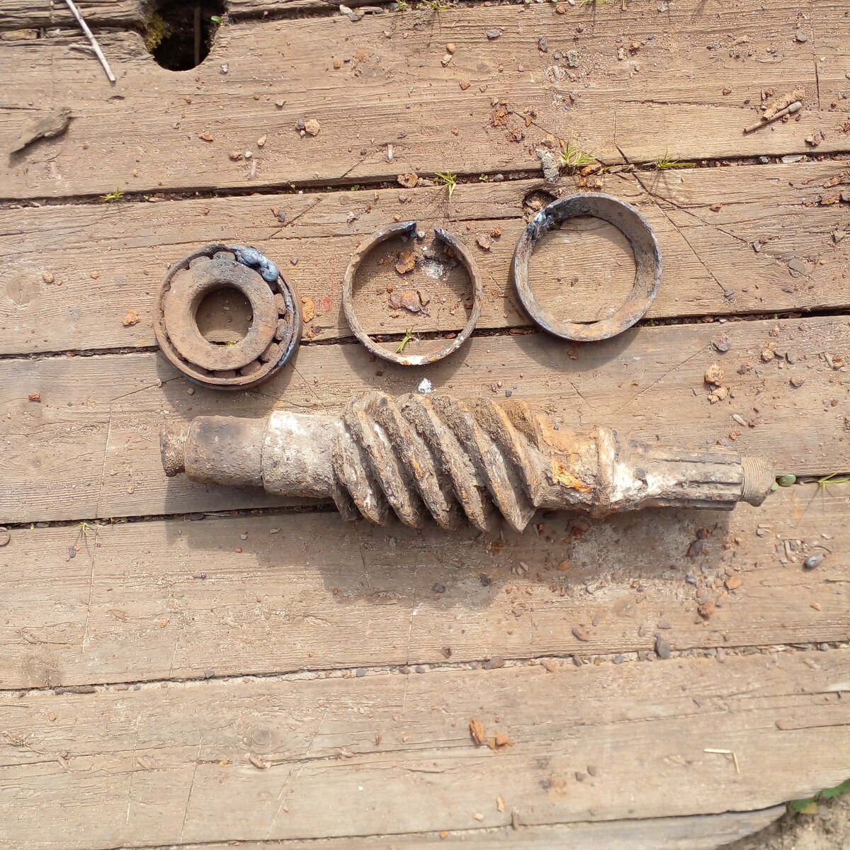 IMG-20220613-WA0019.jpeg