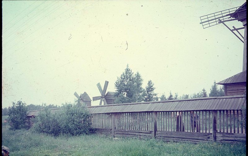 4471904.jpg