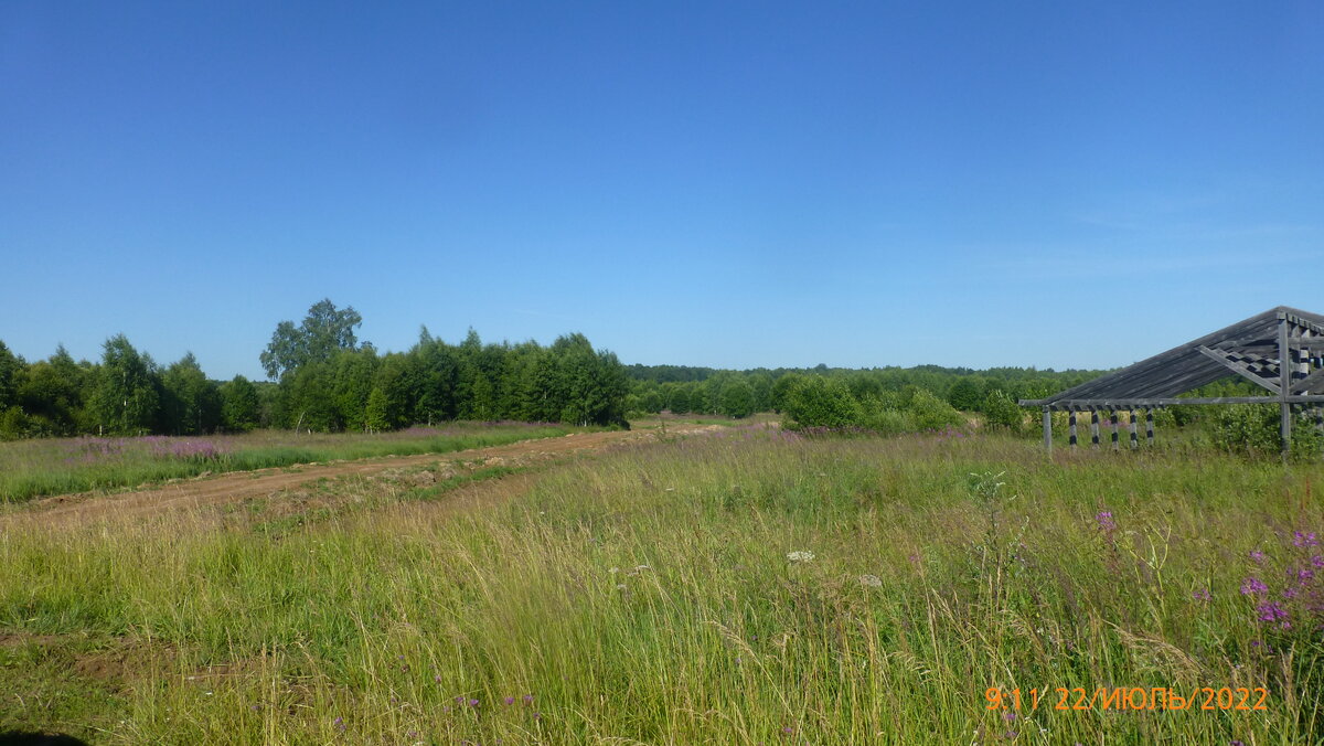 P1110973.JPG