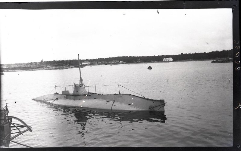 4803096.jpg